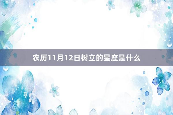 农历11月12日树立的星座是什么